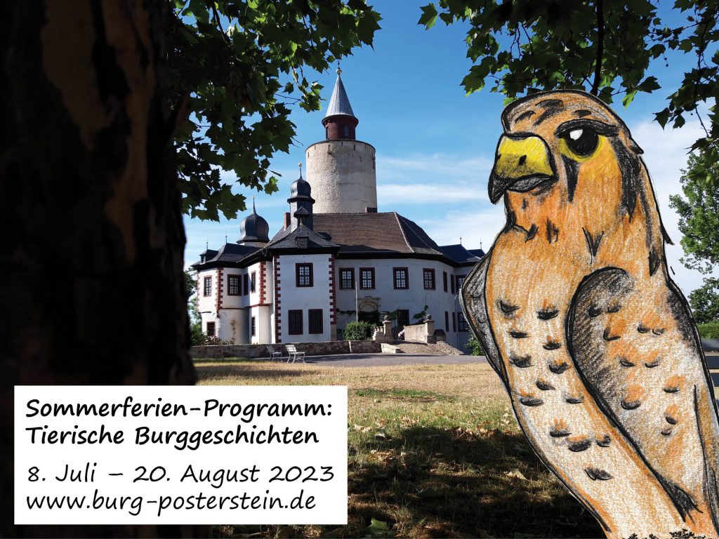 Banner für das Sommerferien-Rätsel auf Burg Posterstein mit einem gezeichneten Falken im Vordergrund.